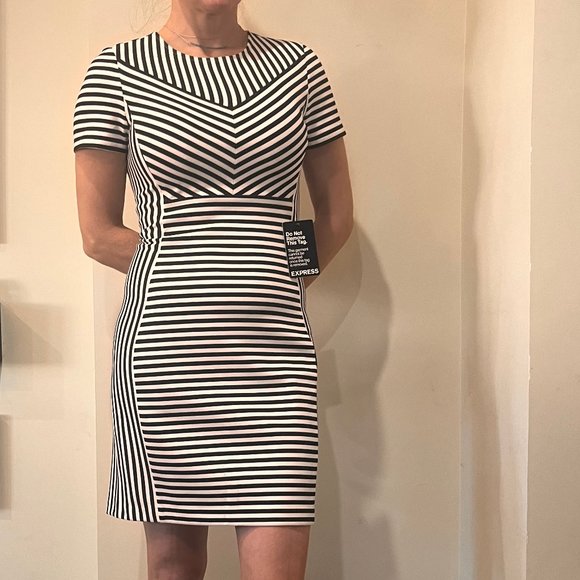 Express Dress - Picture 3 of 5